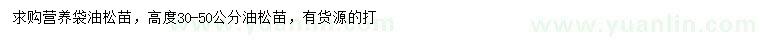 求購高30-50公分油松