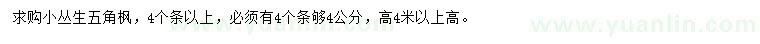 求購高4米以上叢生五角楓