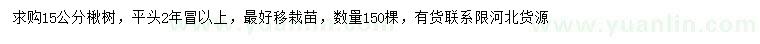 求購15公分楸樹