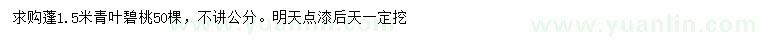 求購蓬徑1.5米青葉碧桃