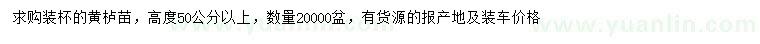求購高50公分以上黃櫨苗