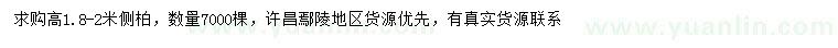 求購高1.8-2米側(cè)柏