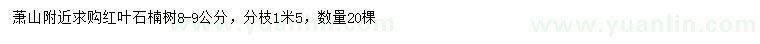 求購8-9公分紅葉石楠