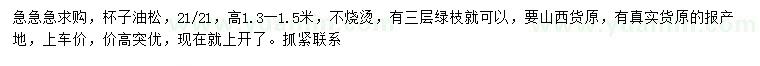 求購高1.3-1.5米油松