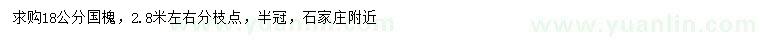 求購18公分國槐