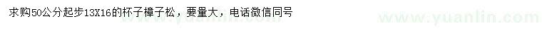 求購(gòu)50公分起步樟子松