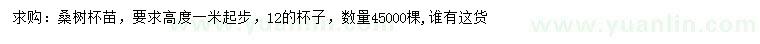 求購(gòu)高1米起步桑樹
