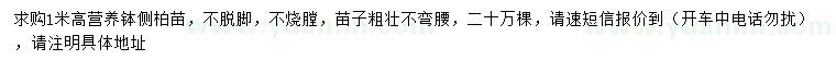 求購高1米側(cè)柏苗