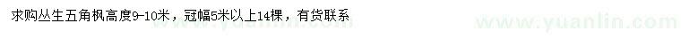 求購高9-10米叢生五角楓
