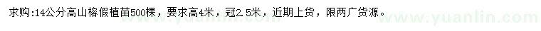 求購14公分高山榕假植苗