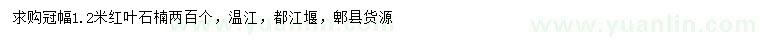 求購冠幅1.2米紅葉石楠