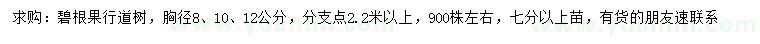 求購胸徑8、10、12公分碧根果