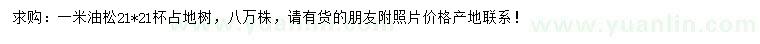 求購(gòu)1米油松