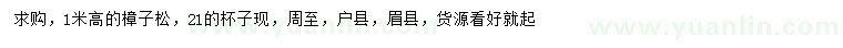 求購(gòu)高1米樟子松