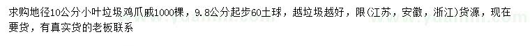 求購地徑10公分小葉垃圾雞爪槭
