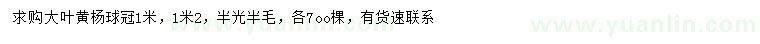 求購冠幅1、1.2米大葉黃楊球