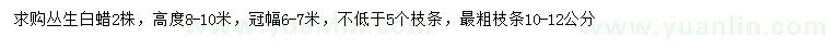 求購(gòu)高8-10米叢生白蠟
