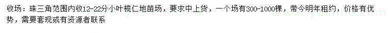 求購(gòu)12-22公分小葉欖仁