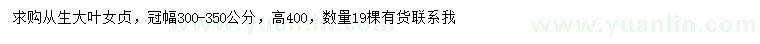 求購(gòu)高400公分從生大葉女貞