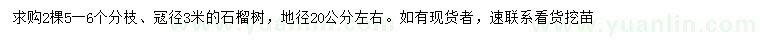 求購(gòu)地徑20公分左右石榴樹(shù)