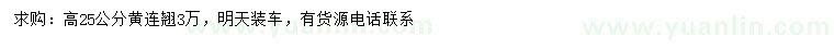 求購高25公分黃連翹