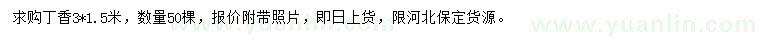 求購3*1.5米丁香
