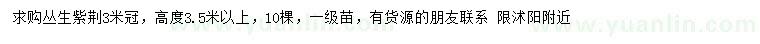 求購高3.5米以上叢生紫荊