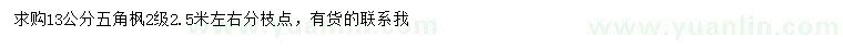 求購(gòu)13公分五角楓