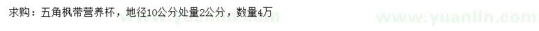 求購地徑10公分量2公分五角楓