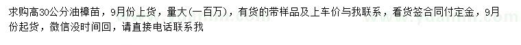 求購高30公分油樟苗