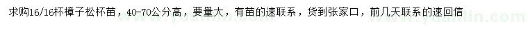 求購高40-70公分樟子松