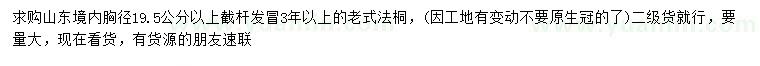 求購(gòu)胸徑19.5公分以上老式法桐