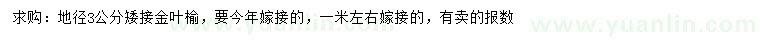 求購地徑3公分矮接金葉榆