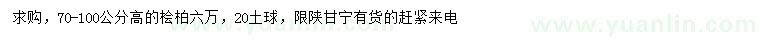 求購高70-100公分檜柏