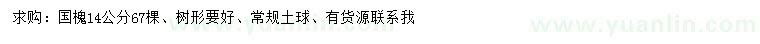 求購14公分國槐