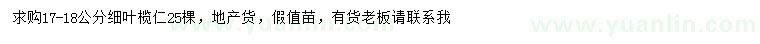 求購17-18公分細(xì)葉欖仁