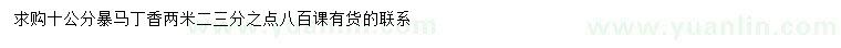 求購10公分暴馬丁香