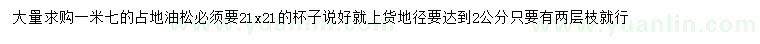 求購(gòu)1.7米占地油松
