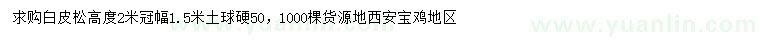 求購(gòu)高2米白皮松