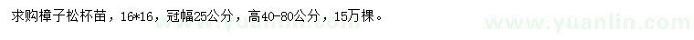 求購高40-80公分樟子松