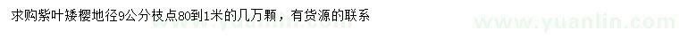 求購地徑9公分紫葉矮櫻