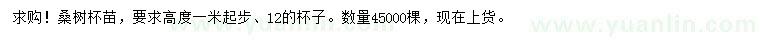 求購高1米起步桑樹