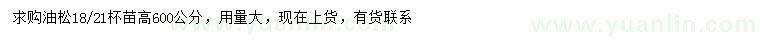 求購(gòu)高600公分油松