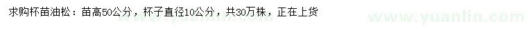 求購(gòu)高50公分油松