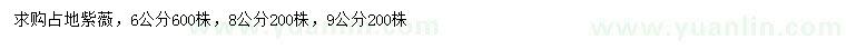 求購6、8、9公分占地紫薇