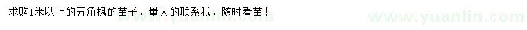 求購1米以上五角楓