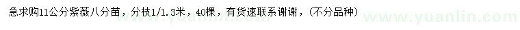 求購11公分紫薇