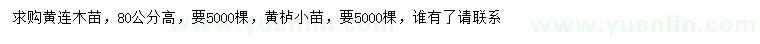 求購高80公分黃連木、黃櫨