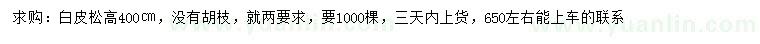 求購高4米白皮松