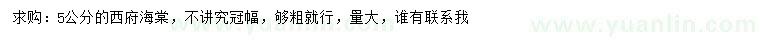 求購5公分西府海棠